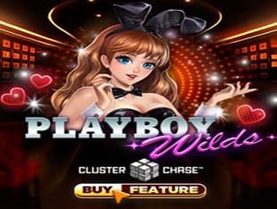 Playboy Wilds game icon