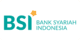 BSI Express logo